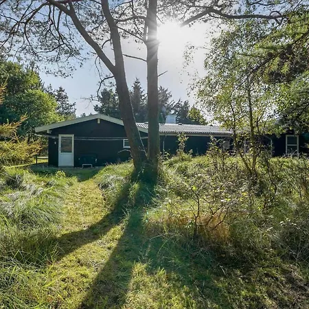 Ve339-vejers-strand-gogevej-34